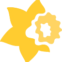 Cancer Society of New Zealand Nelson Centre of Wellington Division Incorporated logo