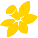 Cancer Council SA