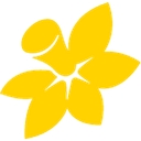 Cancer Council Sa logo