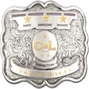 C And L Inspection logo