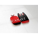 Canect European Technologies Ltd logo