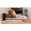 Canine Natural Cures