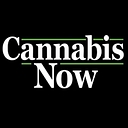 Favicon of Cannabis Now