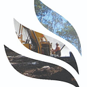 CAE logo