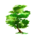Canyon Manor logo