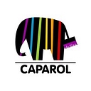 Favicon of Caparol