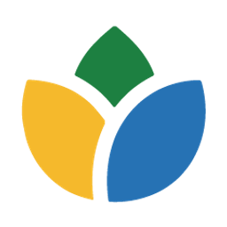 CAPA STRATEGIES LLC logo