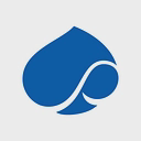 Capgemini logo