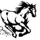 Capital Asset Management, Inc. logo