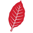 Capital Cigar Lounge logo
