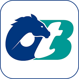 Capital OTB logo