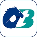 Capital District Regional Off Track Betting Corporation logo