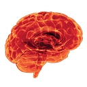 Capodice & Associates