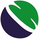 Capo Projects Group (Cpg) logo