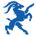 Favicon of Capricorn Information Systems