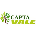 Capta Vale logo