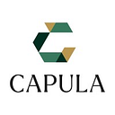 CAPULA INVESTMENT MANAGEMENT SINGAPORE PTE. LTD. logo