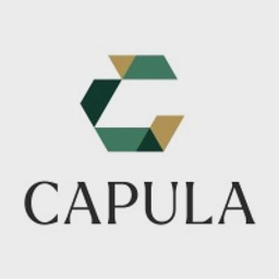 Capula Limited logo