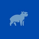 Capy Capital logo