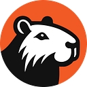 CapyFi