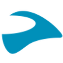 Cardo Systems logo