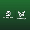 Careerforce   Industry Training Organisation For The Health And Wellbeing Sectors logo