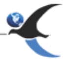 Careers International