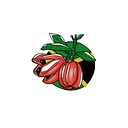 Aunty Madge Catering logo