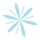 Caring Connections logo