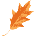 CARING GROUP PTE. LTD. logo
