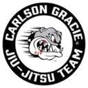 carlsongracie-affoltern.ch icon