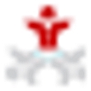 Favicon of Carlton Staffing