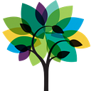 The Carnegie Foundation for logo