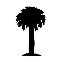 PE