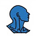 Carolina ENT-Sinus and Allergy Center, P.A.