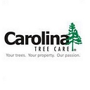Carolina Tree Care logo