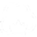 Carroll Cotton Co Pty Ltd logo
