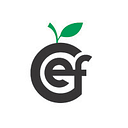 Carroll Education Foundation Inc logo