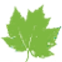 Carroll Institute logo