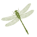 Carymoor Environmental Trust logo