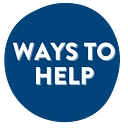 Court Appointed Special Advocate