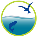 The Casco Foundation logo