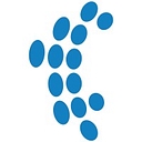 Cased Hole Well Services logo