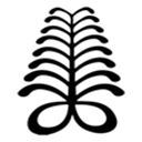 Case Specific Nutrition logo