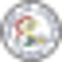 Caseyville village logo