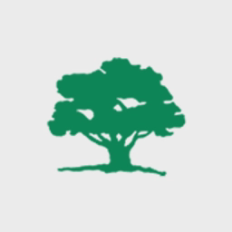 avatar logo