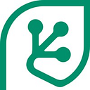 Cash Flow Frog logo