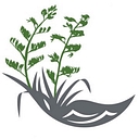 Castaways Resort Auckland logo