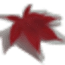 Castle House Nursing Home Limited logo