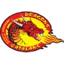 Favicon of Dragons Catalans